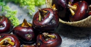 Best Substitutes For Water Chestnut